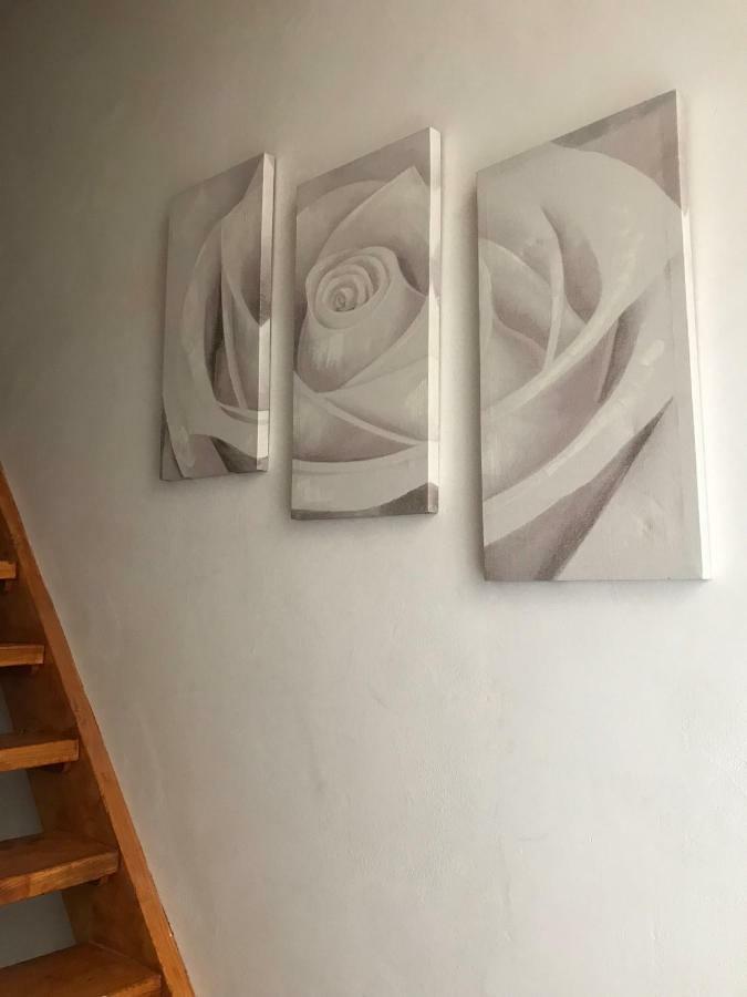 פירנצה Il Nido - Cozy Studio Apartment In Santa Croce מראה חיצוני תמונה